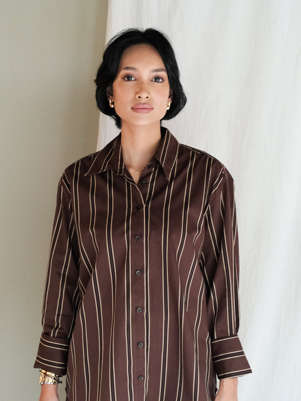 Parker Stripe Shirt in Brown